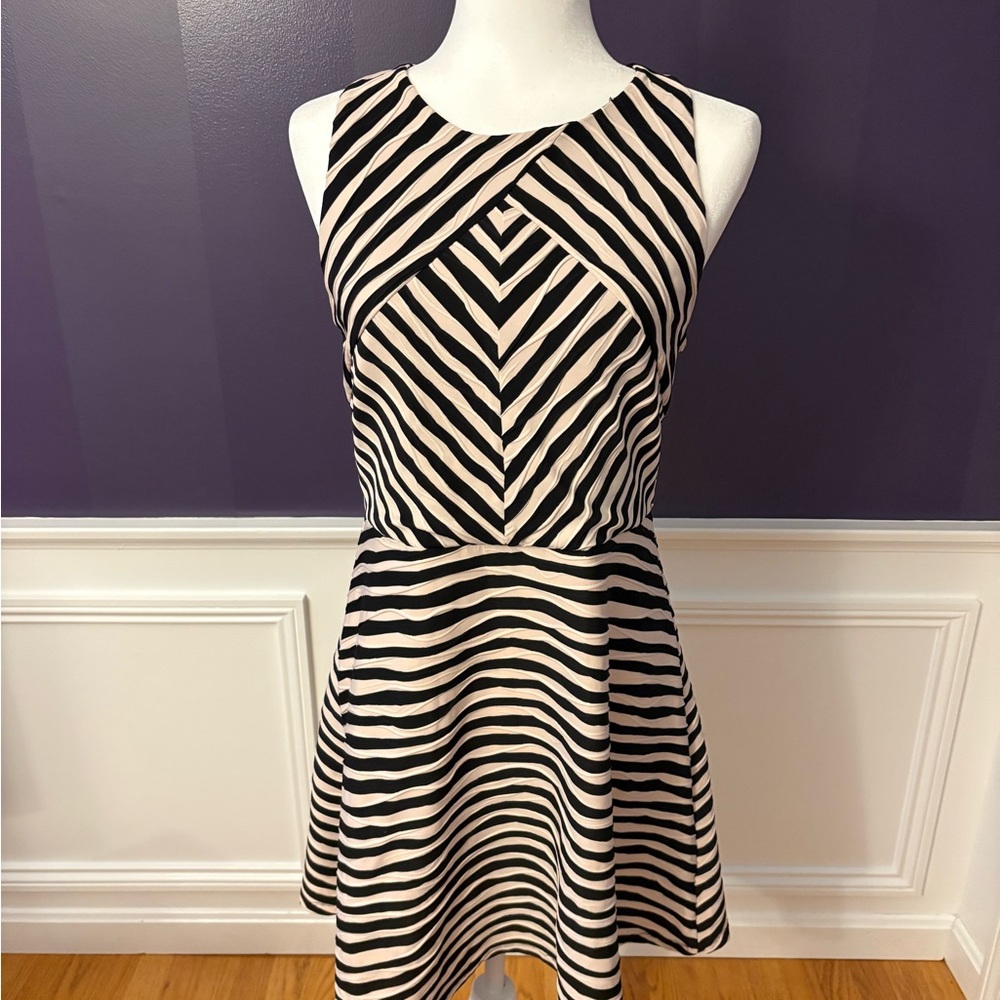 Xhilaration Black and Cream Chevron Mini Dress